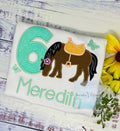 Girl 6th Birthday Shirt With Brown Bay Horse, Mint number, Birthday Shirt with Ponny and Saddle, Horse Embroidery Birthday Shirt