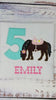 Girl 5th Birthday Shirt With Bay Horse, Birthday Shirt with Brown Ponny and Saddle, 4th, 6th 7th Horse Birthday Shirt