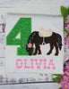Girl 4th Birthday Shirt With Brown Horse, Birthday Shirt with Embroidered Horse and Saddle, 4th, 6th Horse Birthday Shirt, Green Number